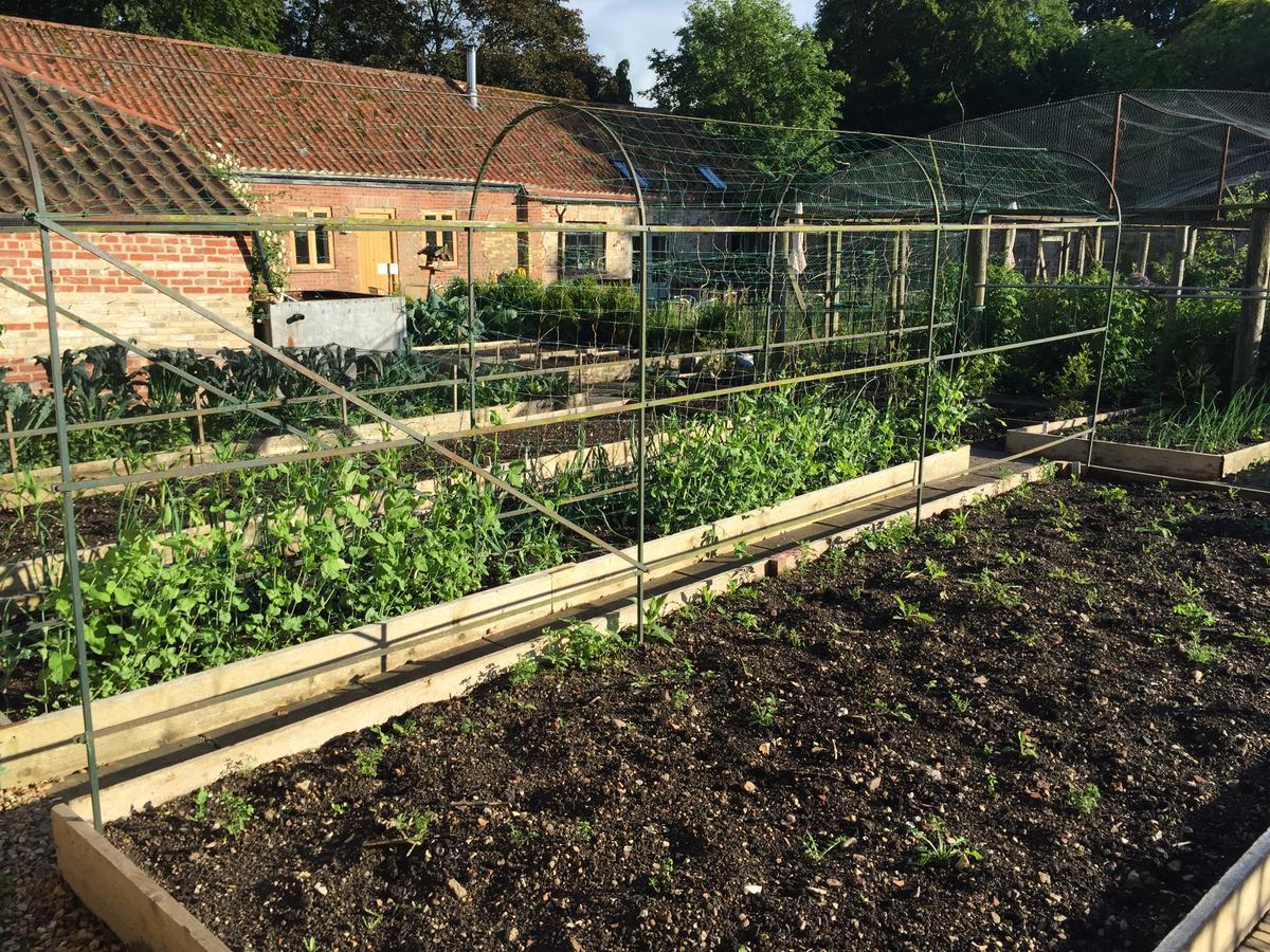 Chippenham Park Garden Rooms Екстериор снимка